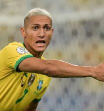 Richarlison Image